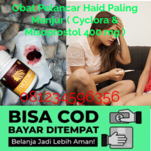 Obat Penggugur Kandungan Alodokter Rekomendasi Cytotec 400 mcg Untuk Aborsi Terbaik