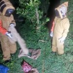 WhatsApp-Image-2020-09-23-at-01.20.56-300x225