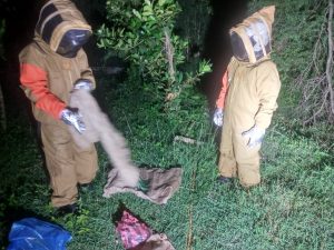 WhatsApp-Image-2020-09-23-at-01.20.56-300x225