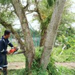 WhatsApp Image 2023-02-07 at 12.06.36(1)