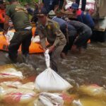 WhatsApp Image 2024-01-24 at 10.56.04